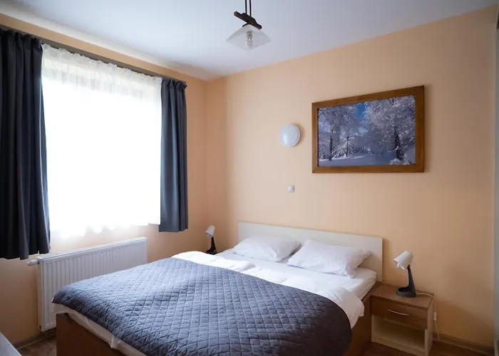 Sadowy Apartmán Visla